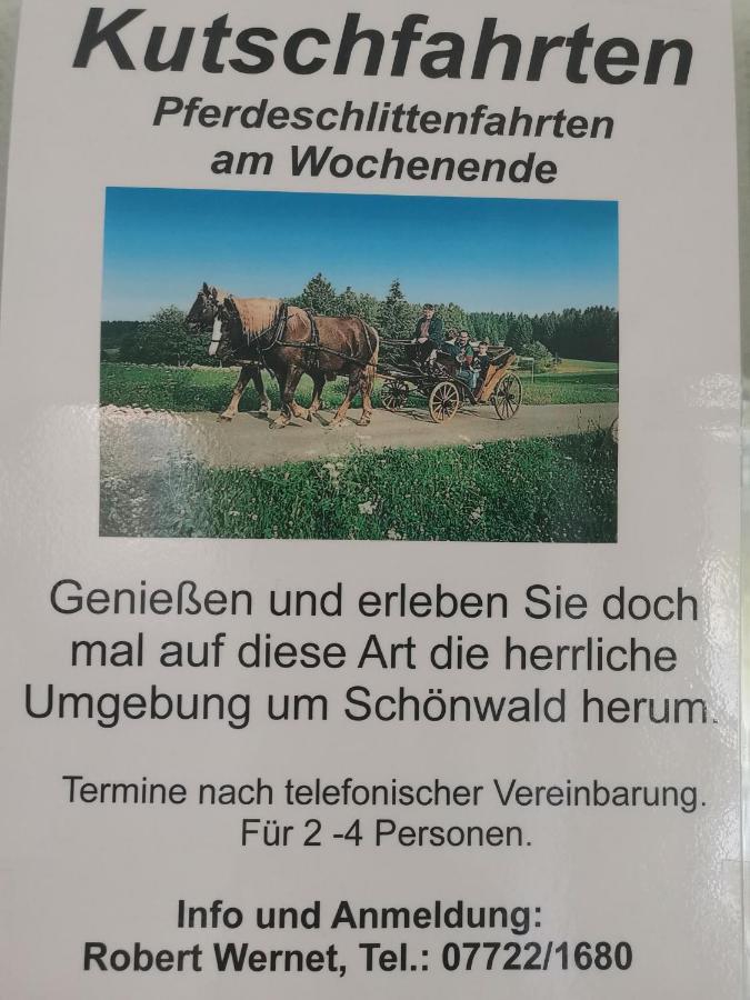 Ferienwohnung Schoene Wohnung 2D-Gebaeude Mit Mini-Garten Schoenwald im Schwarzwald Exterior photo